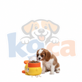 K9 TreatTrail™ Interactive Feeder