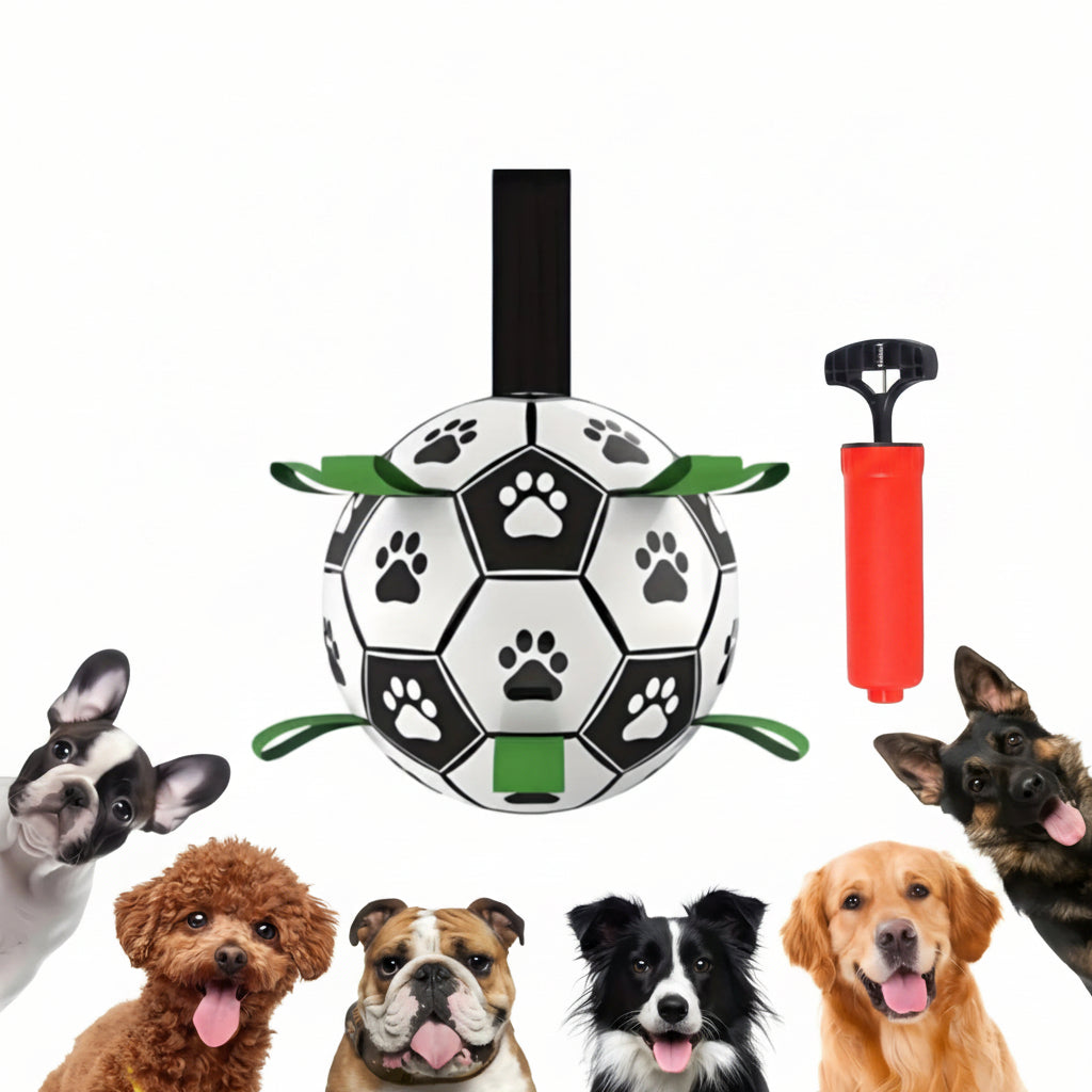 Damaly,Interactive Dog Soccer Toy with a Grip Ring, Durable Water Ball for Dogs, Dog Chasing and Playing Toy, without Battery