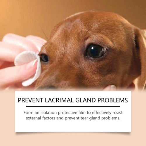 Pet Tear Stains Remover Balm 30G Eye Dogs Eye Stain Cleaning Cream Keep Drying Prevent Pigmentation Reduce Tear Marks