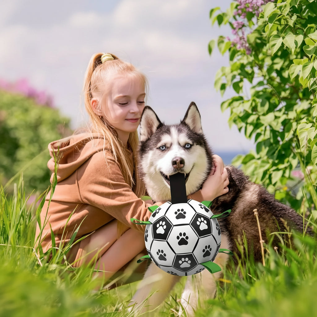 Damaly,Interactive Dog Soccer Toy with a Grip Ring, Durable Water Ball for Dogs, Dog Chasing and Playing Toy, without Battery